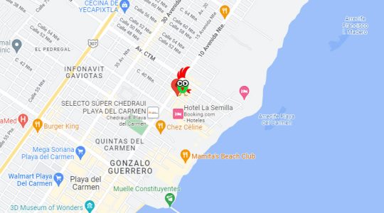 Mapa mexico exclusivo C 47 51 (5)