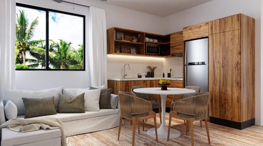 México Exclusivo M 47 67 (7)