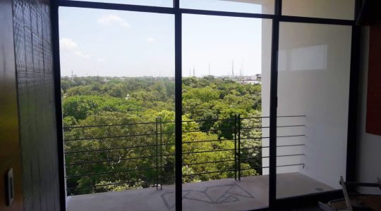 Mexico Exclusivo T 47-40 (4)