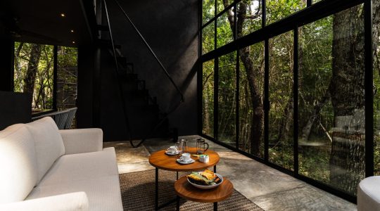 México Exclusivo T 48 211 (26)