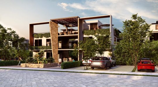 Mexico Exclusivo TCC (3)