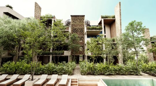 Mexico Exclusivo TCC (5)