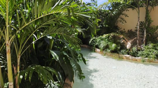 mexicoexclusivo s 47 36 (34)